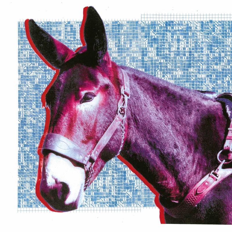 Releases IRASCIBLE MUSIC Protomartyr Ultimate Success Today